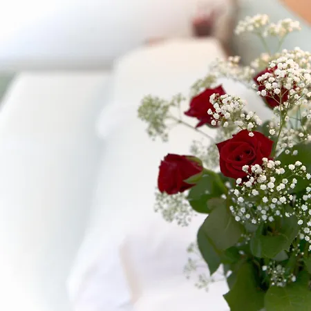 酒店 嘉尼若酒店 3*