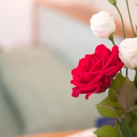 嘉尼若酒店 酒店